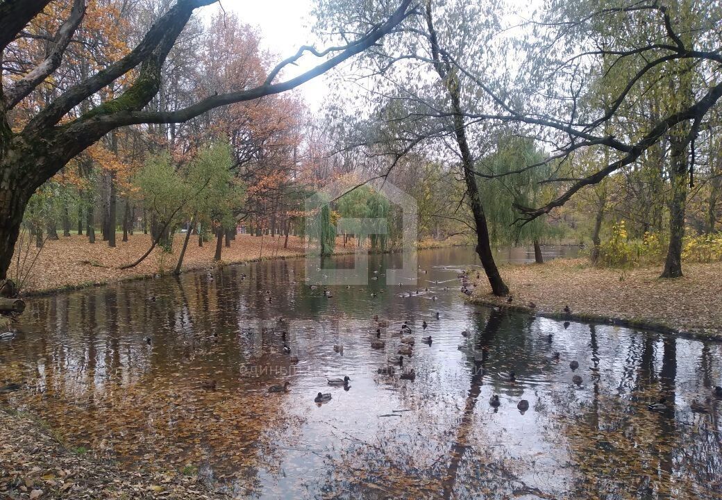 квартира г Санкт-Петербург р-н Красносельский ул Пограничника Гарькавого 14к/2 фото 18