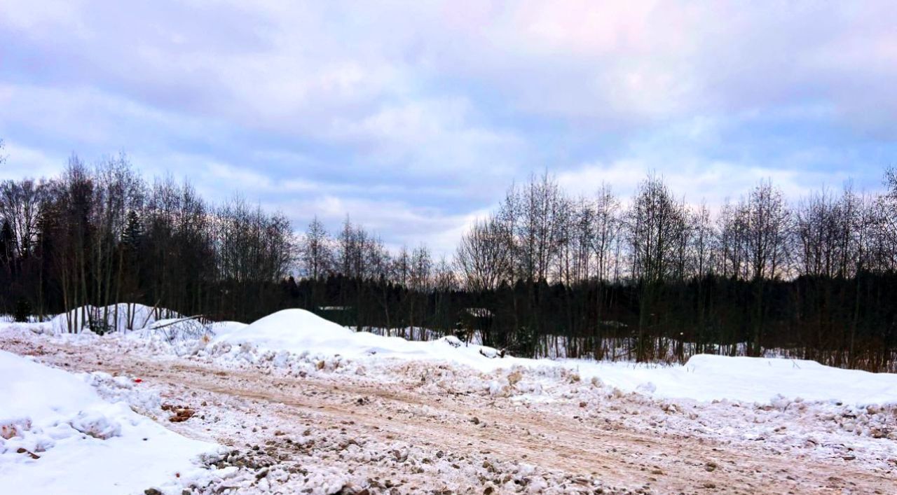 земля городской округ Дмитровский д Ассаурово 48 фото 21