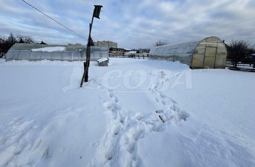 дом р-н Тюменский рп Боровский фото 3