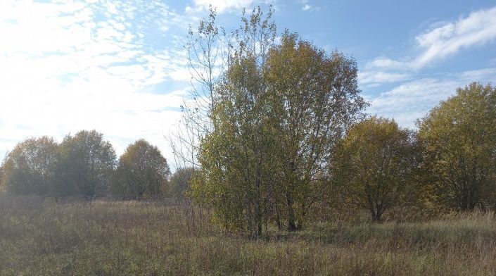 земля городской округ Дмитровский д Богданово фото 1