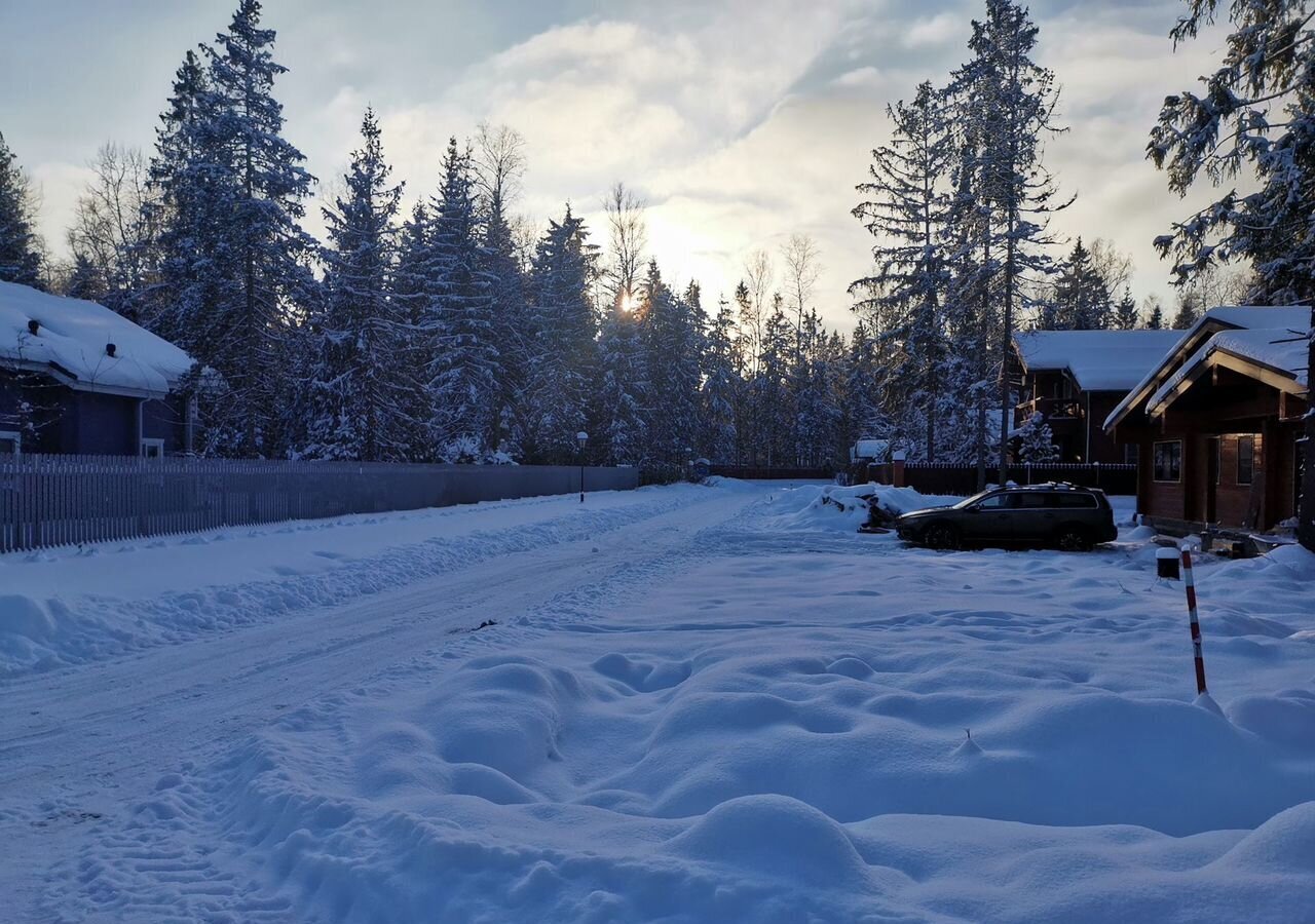 земля городской округ Пушкинский д Могильцы р-н мкр Пушкинский лес 32 км, Лес, 93, Софрино, Ярославское шоссе фото 14