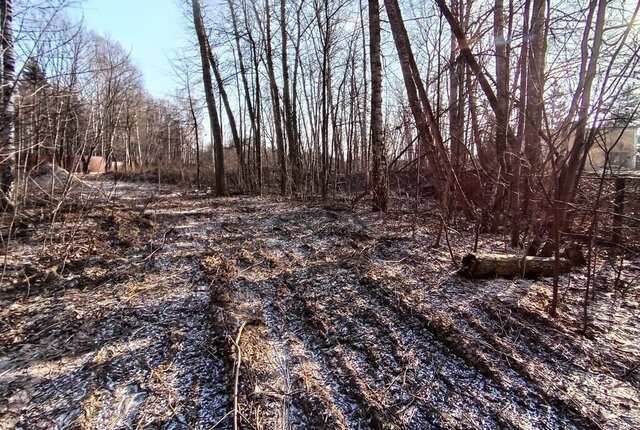 городской округ Ленинский п Горки Ленинские ул Центральная Домодедовская фото