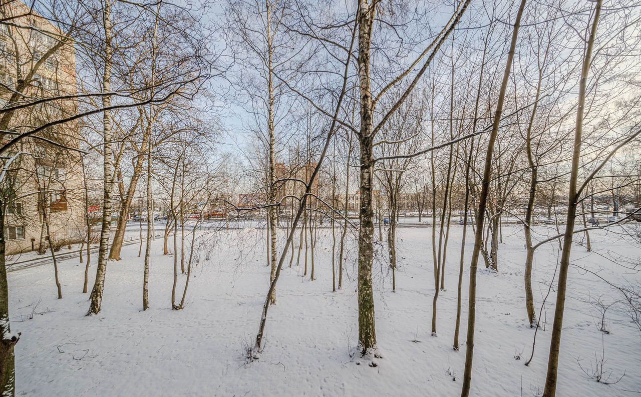 квартира г Санкт-Петербург метро Академическая ул Руставели 16 фото 28