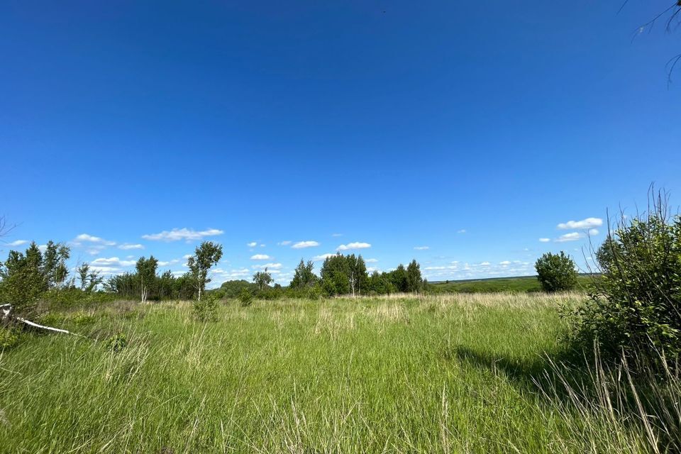 земля Переславль-Залесский городской округ, Переславль-Залесский фото 3