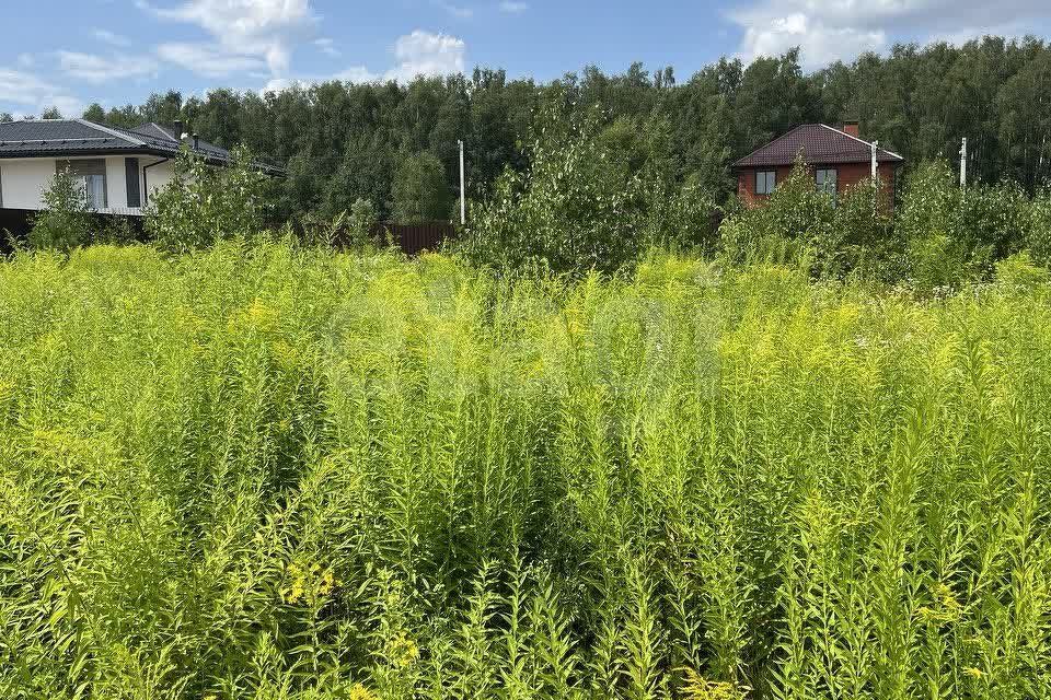 земля городской округ Домодедово Битягово фото 3