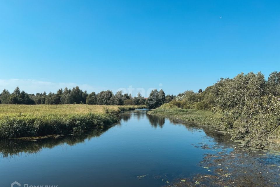 земля р-н Гатчинский фото 3