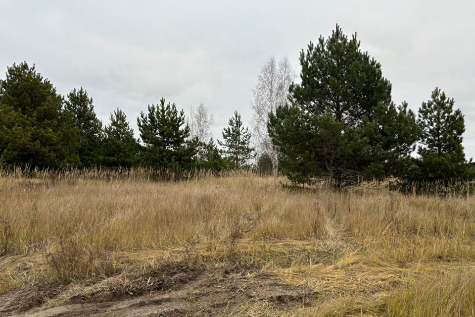 земля городской округ Шатура д. Дмитровка фото 3