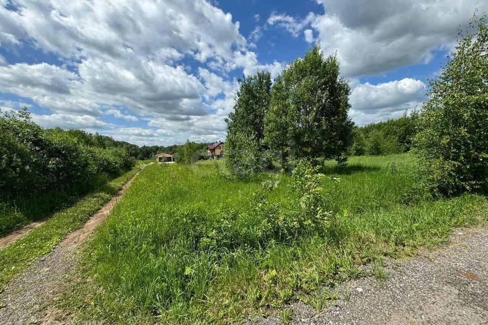 земля городской округ Воскресенск с. Усадище фото 4