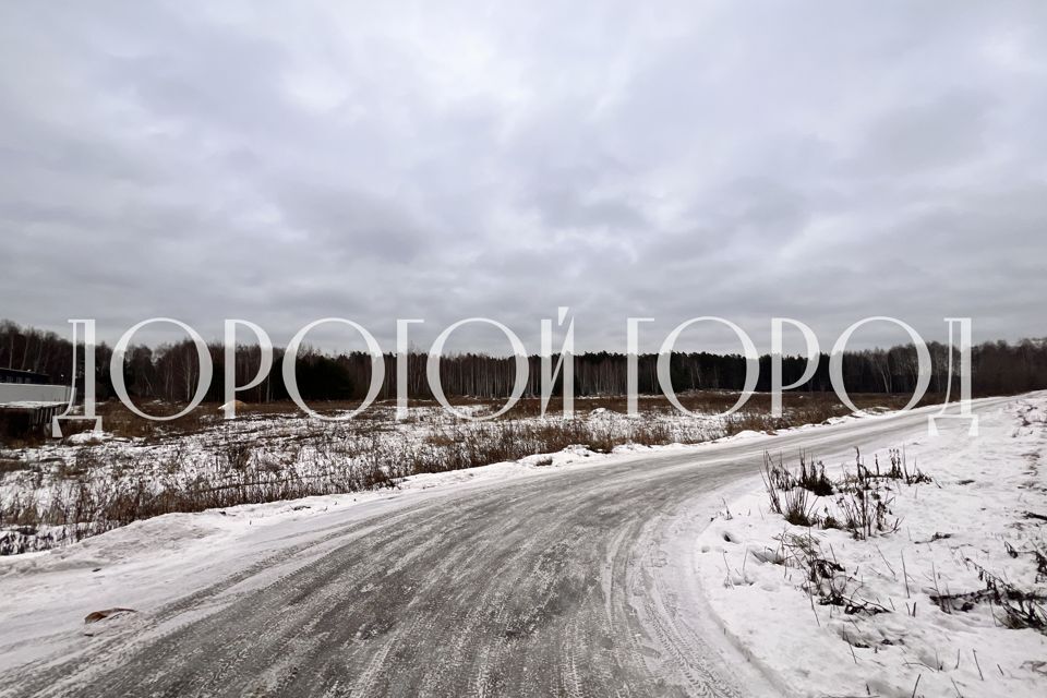 земля городской округ Богородский г Ногинск Хозяйственный корпус фото 3