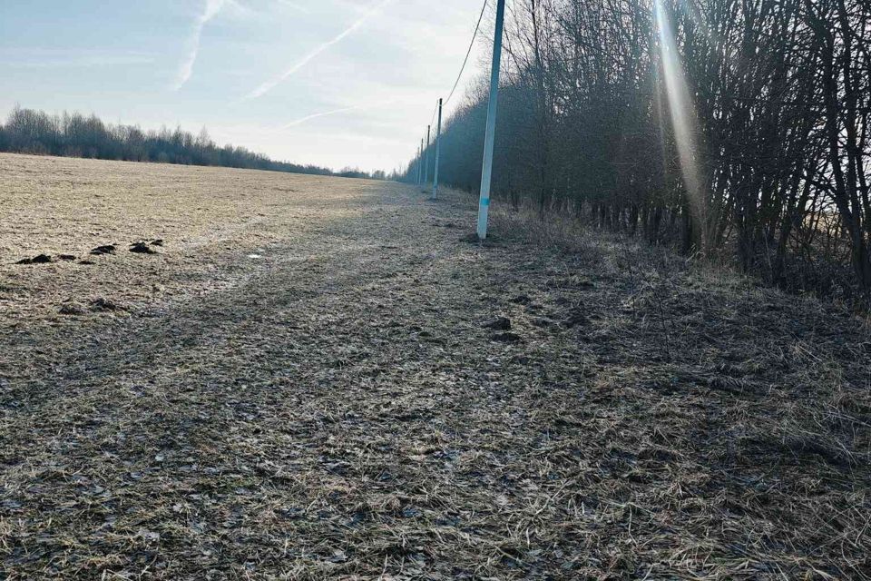 земля городской округ Талдомский фото 4