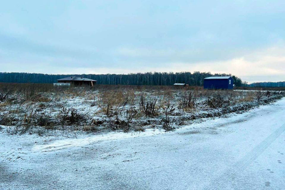 земля городской округ Домодедово Барыбино фото 3