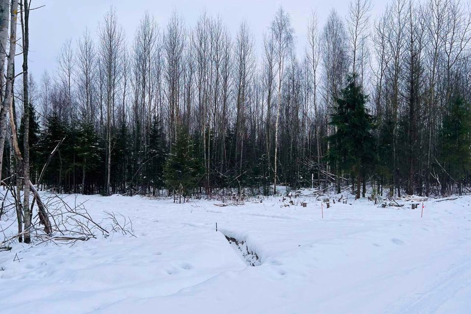 земля городской округ Дмитровский Медведки фото 4