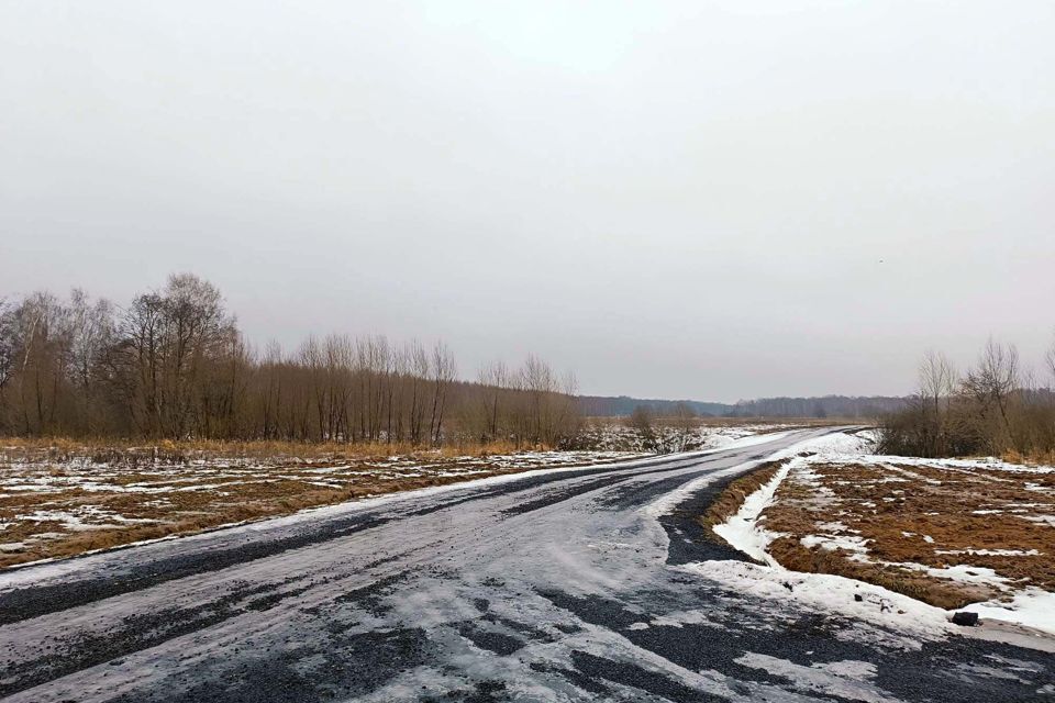 земля городской округ Раменский д. Бритово фото 3