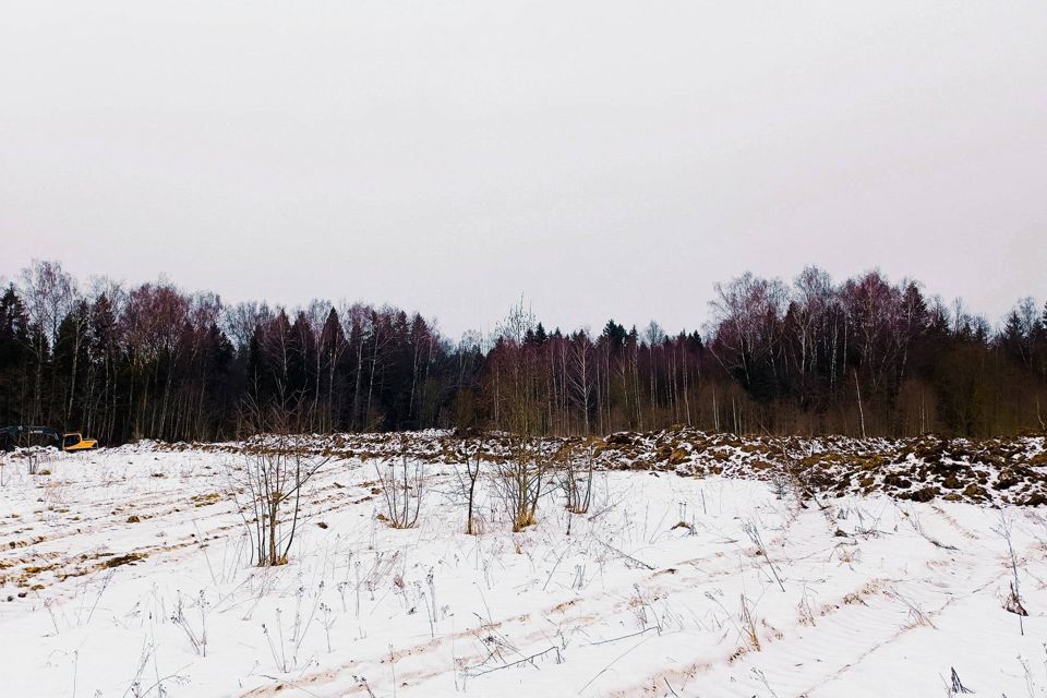 земля городской округ Дмитровский д. Ассаурово фото 4