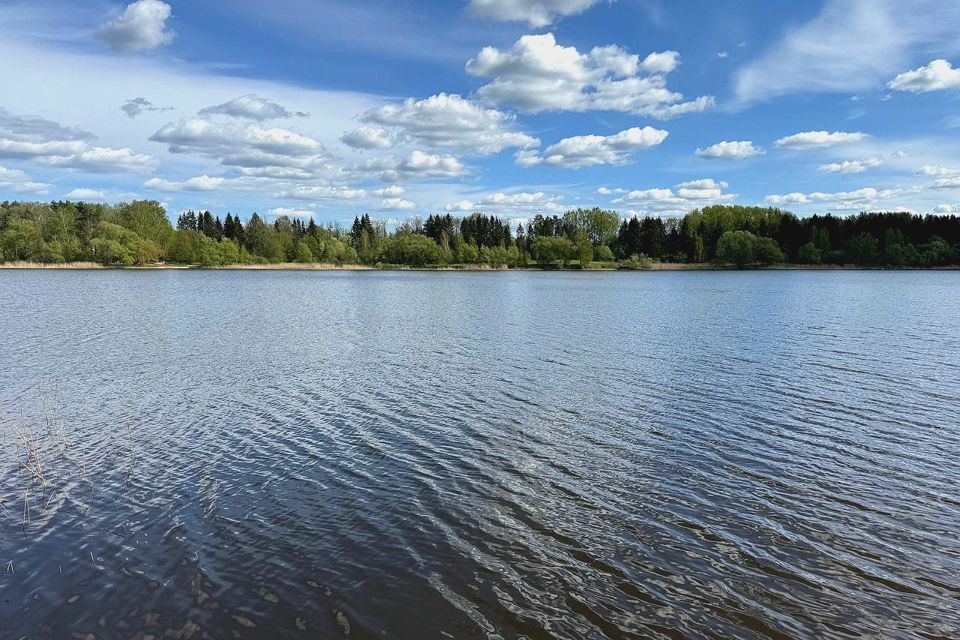 земля городской округ Солнечногорск д. Стегачёво фото 5