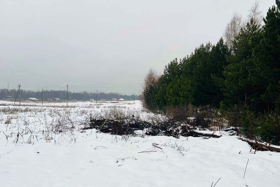 земля городской округ Пушкинский фото 7