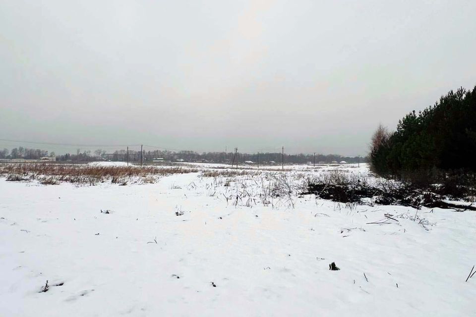 земля городской округ Пушкинский фото 8