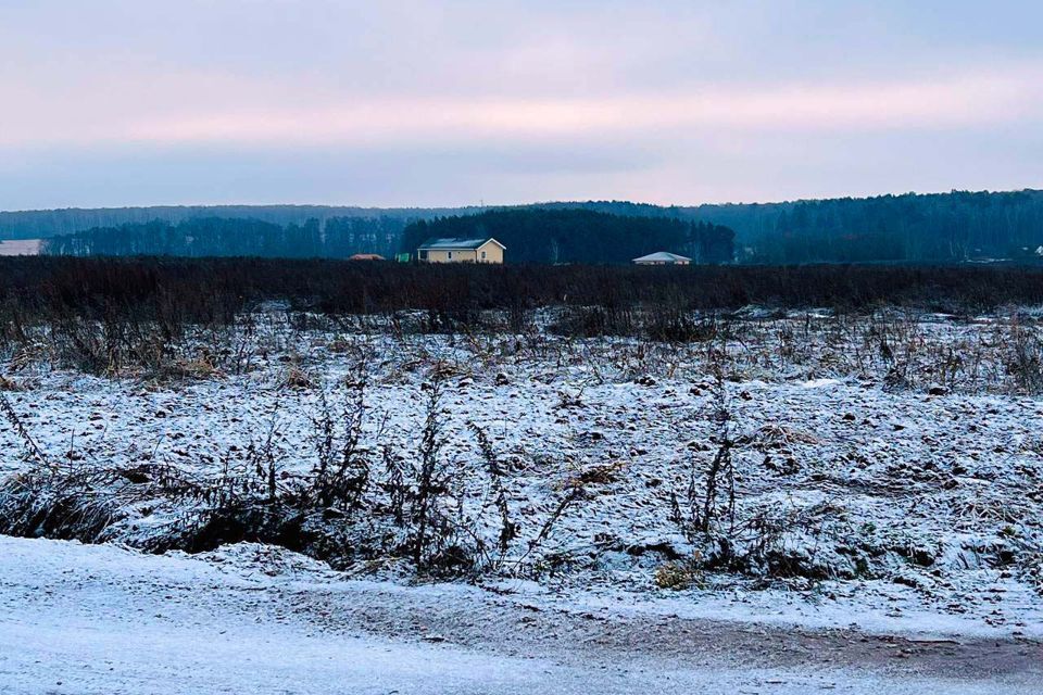 земля городской округ Домодедово Барыбино фото 5