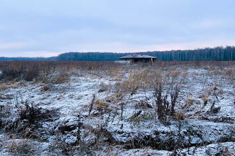 земля городской округ Домодедово Барыбино фото 6