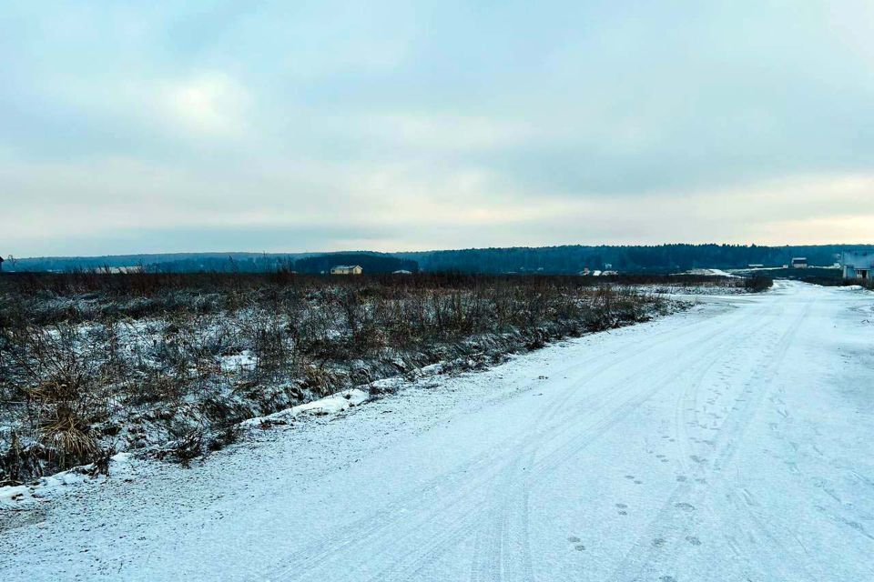 земля городской округ Домодедово Барыбино фото 8