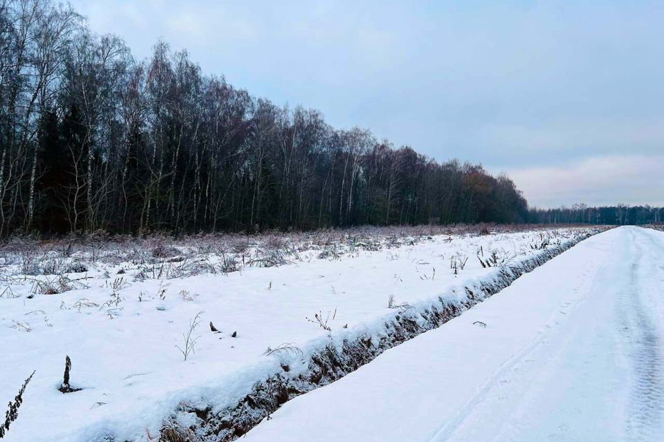 земля городской округ Домодедово Барыбино фото 9