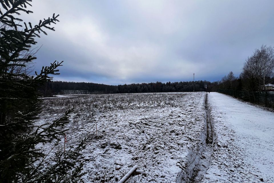 земля городской округ Подольск с. Сынково фото 6