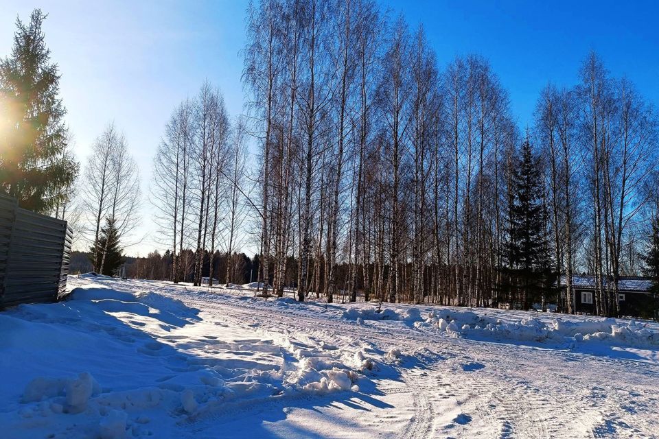 земля городской округ Сергиево-Посадский Шубино-Яркое фото 6