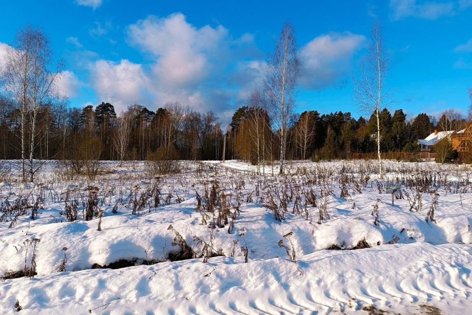 земля городской округ Дмитровский д. Ваньково фото 8