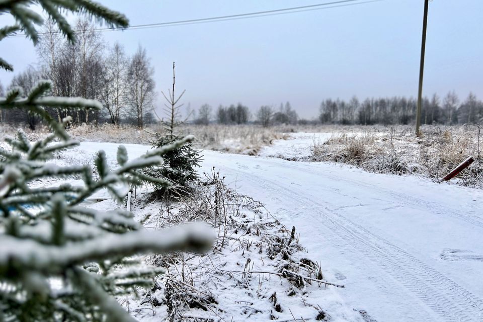 земля городской округ Чехов с Дубна 63 фото 6