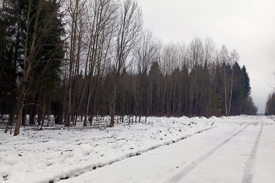 земля городской округ Дмитровский д. Каменка фото 10