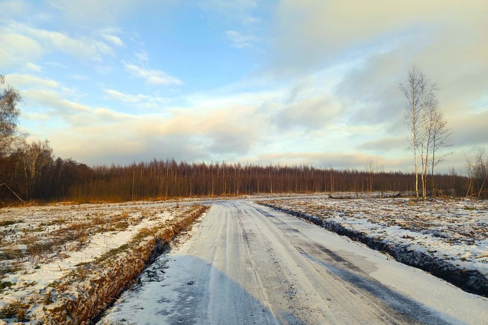 земля городской округ Раменский д. Бритово фото 5