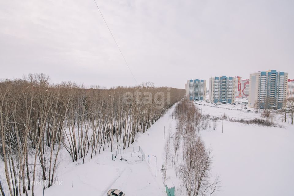 квартира г Новосибирск р-н Кировский ЖК «Акварельный 3.0» Александра Чистякова, 22/3, Новосибирск городской округ фото 10