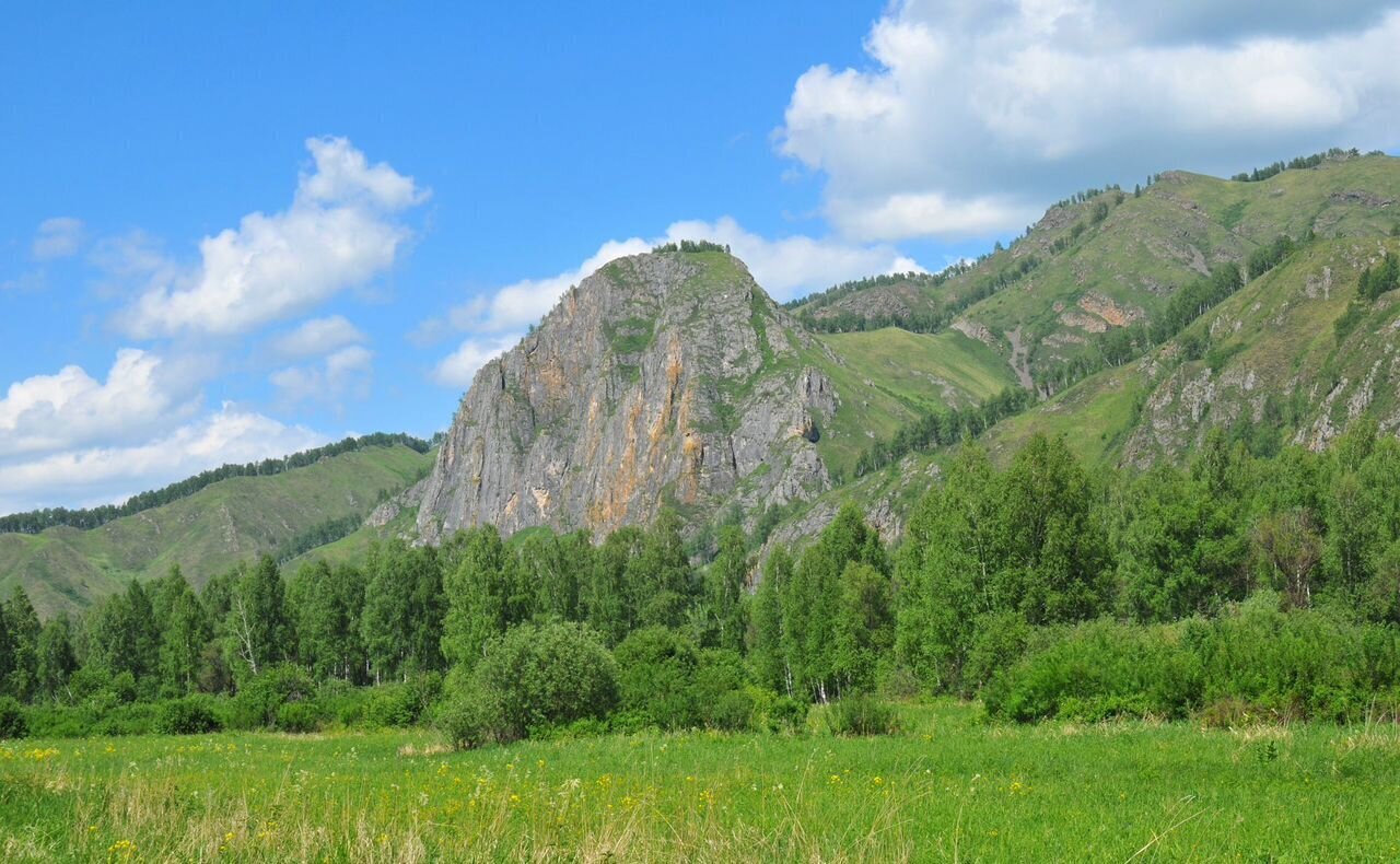 земля р-н Чемальский Ороктойский мост, Онгудай фото 15