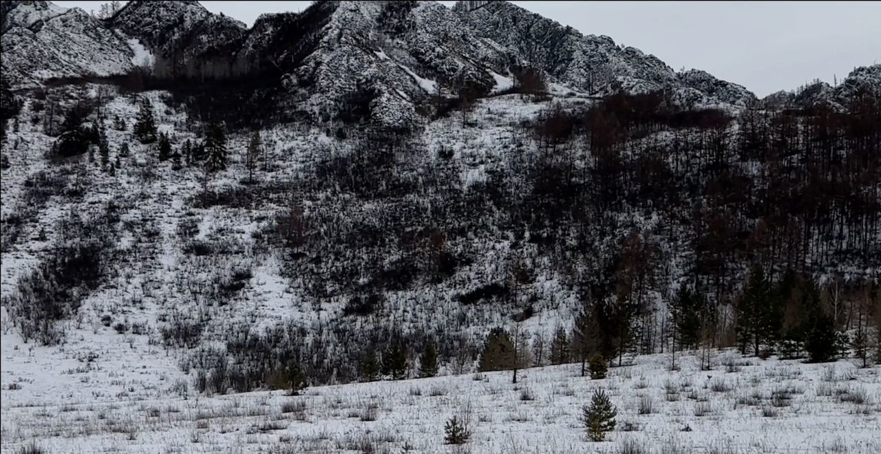 земля р-н Чемальский Ороктойский мост, Онгудай фото 24