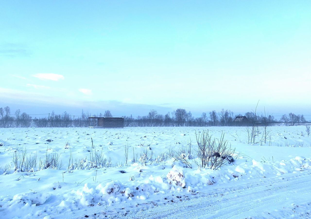 земля р-н Новгородский д Большое Подсонье Борковское сельское поселение, Панковка фото 2