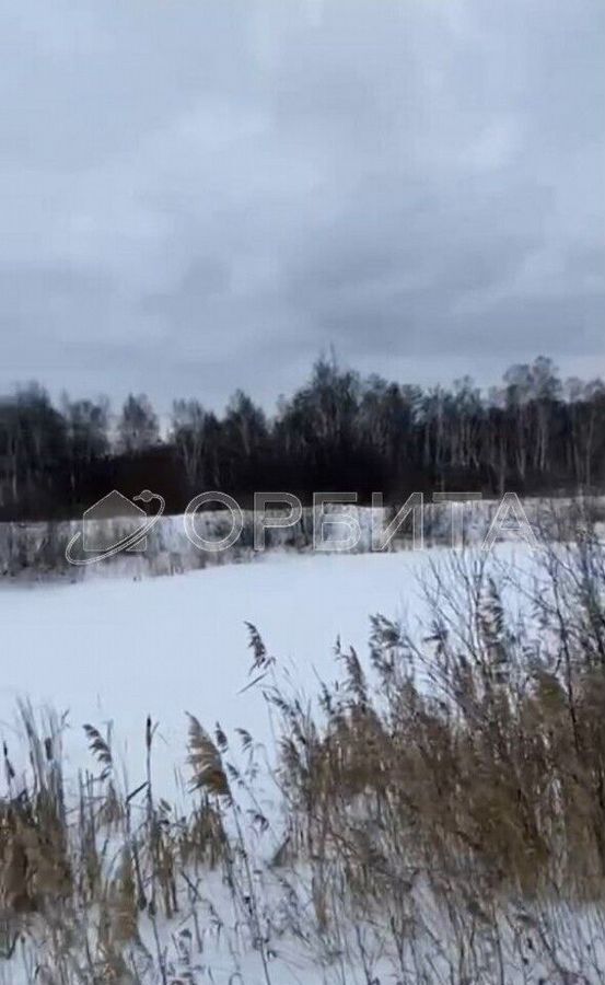 земля р-н Нижнетавдинский с Велижаны ул Социалистическая Нижняя Тавда фото 1