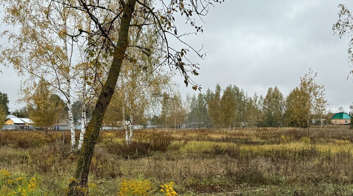 земля городской округ Богородский п Обухово Ленинская тер фото 2