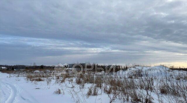 земля с Горьковка ул Сибирская фото