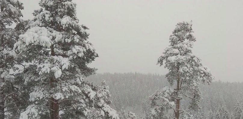 дом г Сортавала п Вуорио Сортавальский муниципальный округ, 111 фото 15