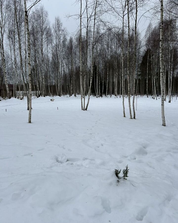 земля р-н Кимрский с/п Центральное д Мельгуново Кимры фото 1