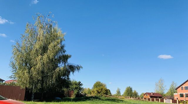 д Высоково ул Пригородная фото