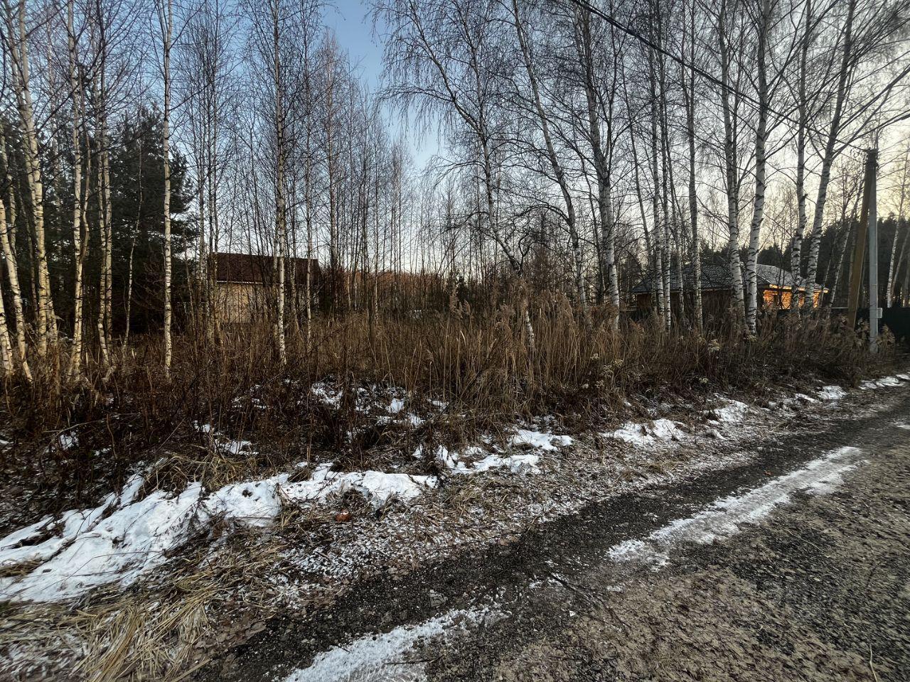 земля городской округ Павловский Посад д Кузнецы проезд Лесной фото 1