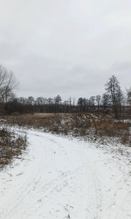 земля городской округ Ступино с Верзилово ул Шаховская 68 км, г. о. Ступино, Малино, Новокаширское шоссе фото 12