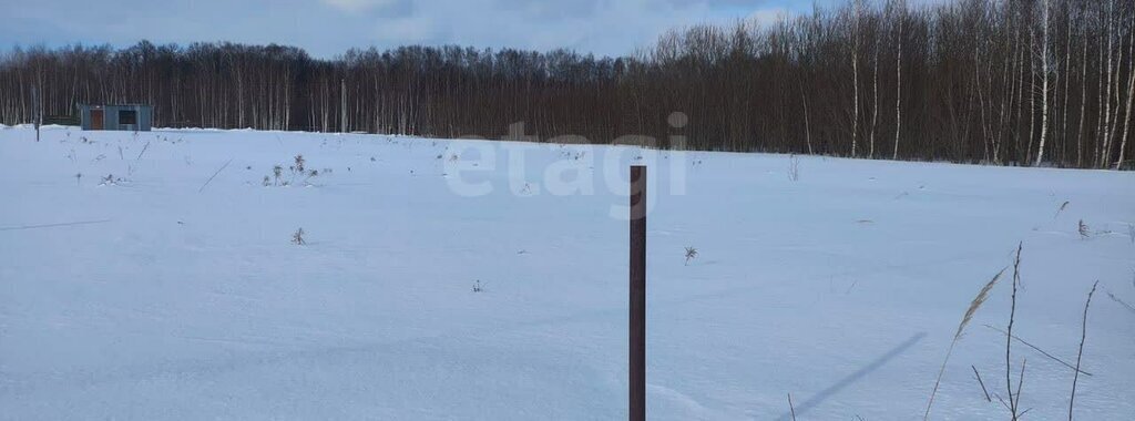 земля р-н Ленинский с Торхово городской округ Тула фото 4