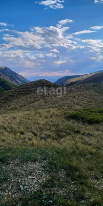 земля р-н Кош-Агачский с Теленгит-Сортогой фото 2