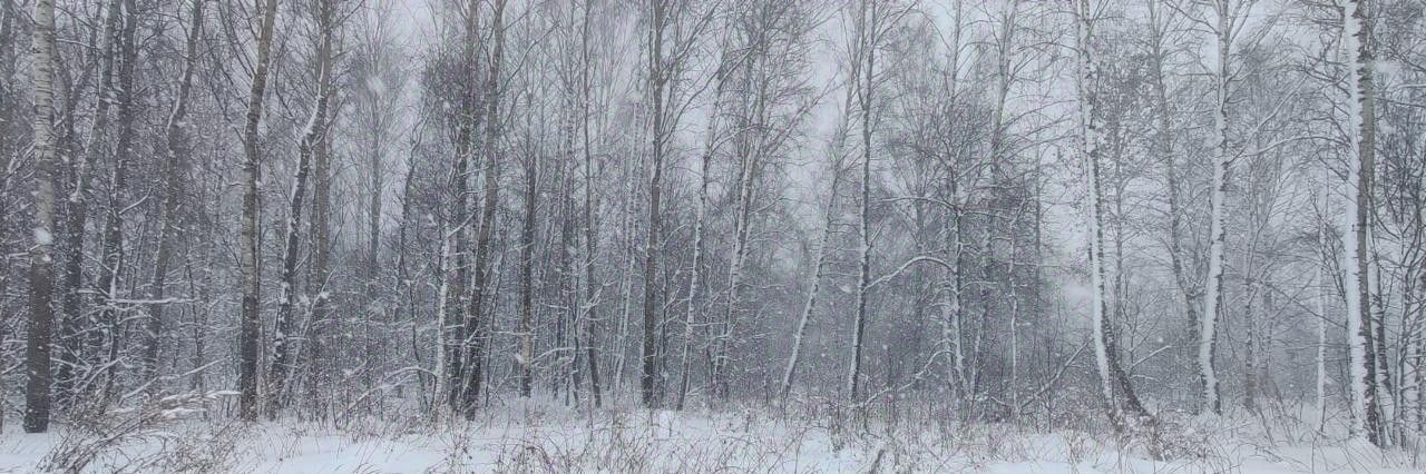 земля городской округ Солнечногорск д Вертлино фото 1