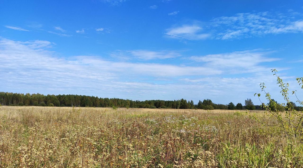 земля городской округ Раменский д Володино фото 1