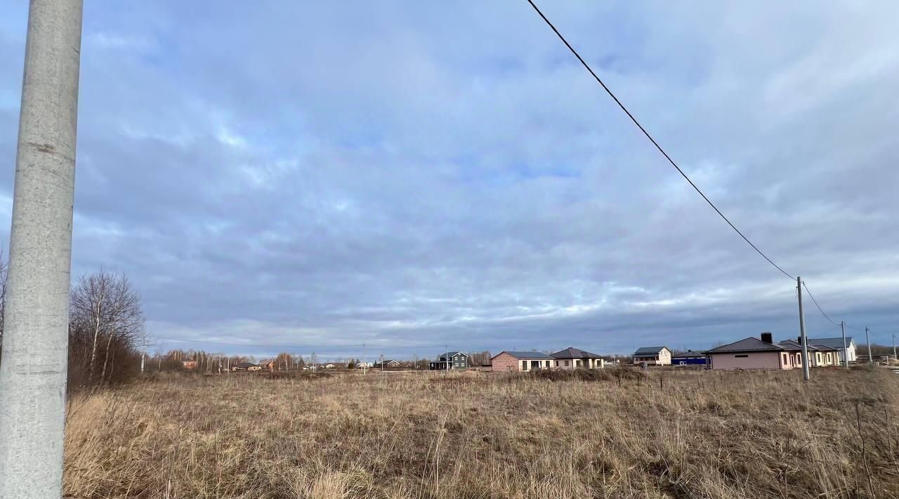 земля городской округ Орехово-Зуевский д Дровосеки Дачная тер фото 4