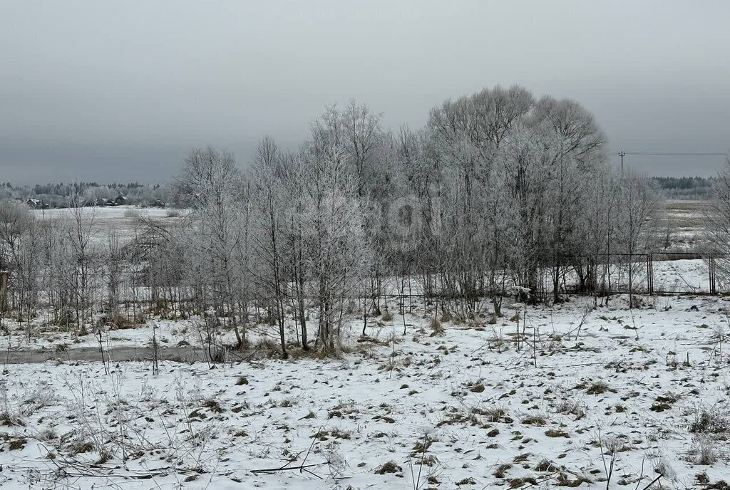 земля городской округ Дмитровский с Костино ул Тихвинская фото 5