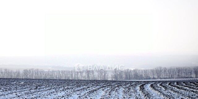 д Филисово ул Сиреневая Плесское городское поселение фото д Филисово ул Сиреневая Плесское городское поселение фото